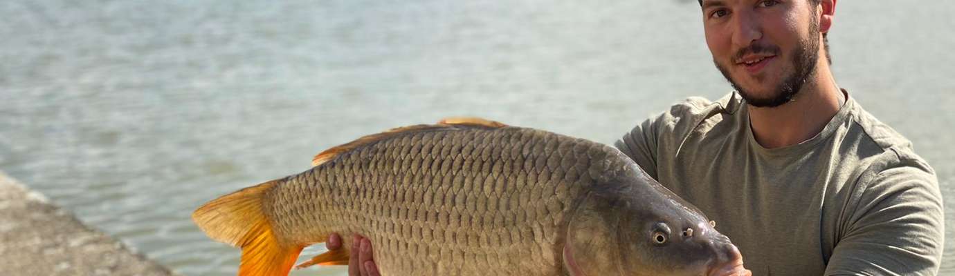 INFO PECHE A LA CARPE DE NUIT – Pêche 86