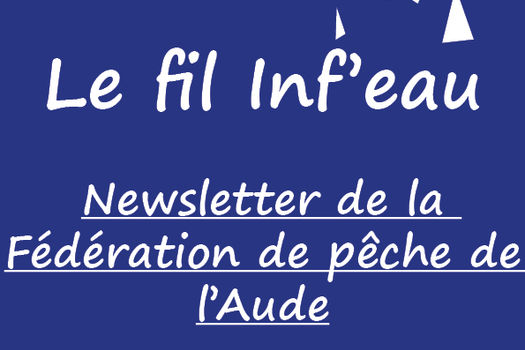 Newsletter Janvier 2025